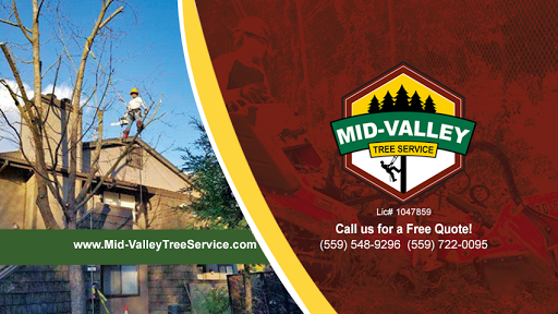 Mid-Valley Tree Service