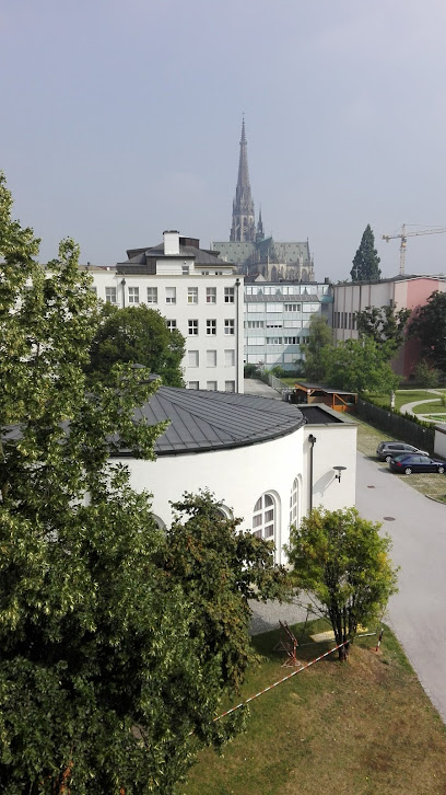 Höhere Lehranstalt für wirtschaftliche Berufe des Schulvereins der Kreuzschwestern Linz