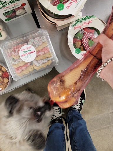 Pet Supply Store «PetSmart», reviews and photos, 250 Grossman Dr, Braintree, MA 02184, USA