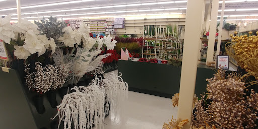 Craft Store «Hobby Lobby», reviews and photos, 7932 Connector Dr, Florence, KY 41042, USA