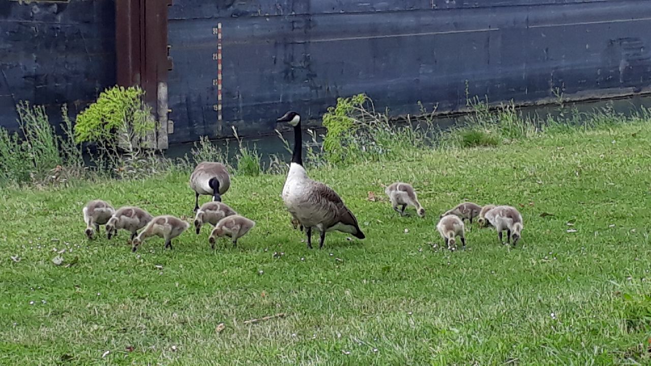 Photo n° 1 de l'avis de Clodius.o fait le 24/05/2018 à 11:30