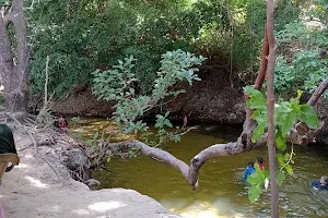 Pitangui's Little Waterfall image