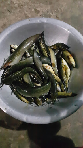 Supermarket «Noya Bazaar LLC», reviews and photos, 139 Wayne Ave, Paterson, NJ 07502, USA