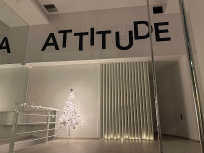 Attitude Athens Pole