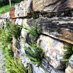 Photo n°3 de l'avis de Ole. fait le 11/08/2020 à 06:08 sur le  Café im Klosterhof Siessen à Bad Saulgau