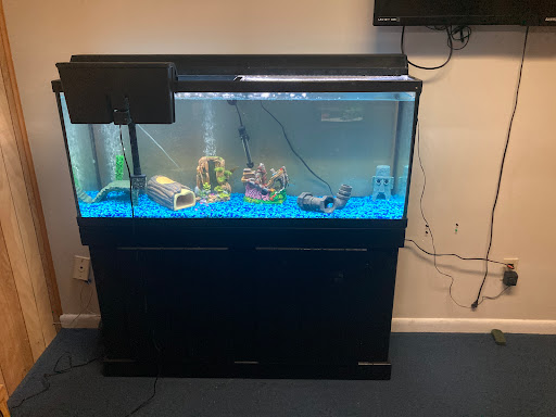 Pet Supply Store «All About Pets», reviews and photos, 9285 Cincinnati Columbus Rd, West Chester Township, OH 45069, USA