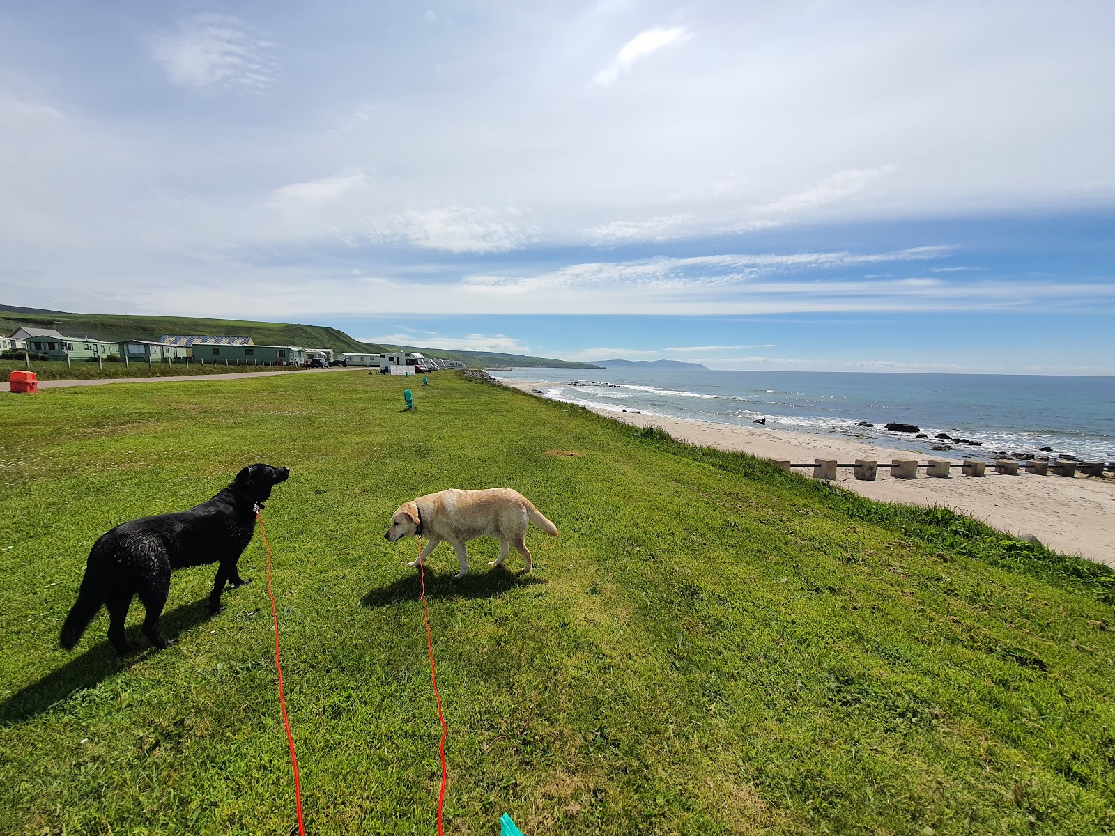 Photo de Killegruer Beach avec un niveau de propreté de très propre
