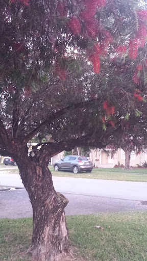 Golf Club «Miami Springs Golf & Country Club», reviews and photos, 650 Curtiss Pkwy, Miami Springs, FL 33166, USA