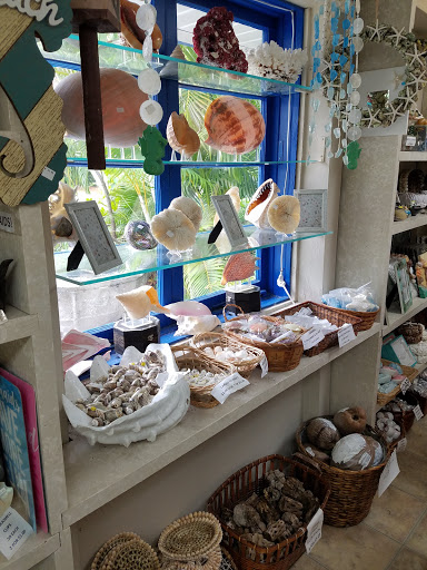 Gift Shop «Sanibel Seashell Industries», reviews and photos, 1544 Periwinkle Way, Sanibel, FL 33957, USA