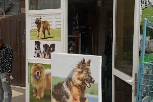 Oheifer Pets Shop image