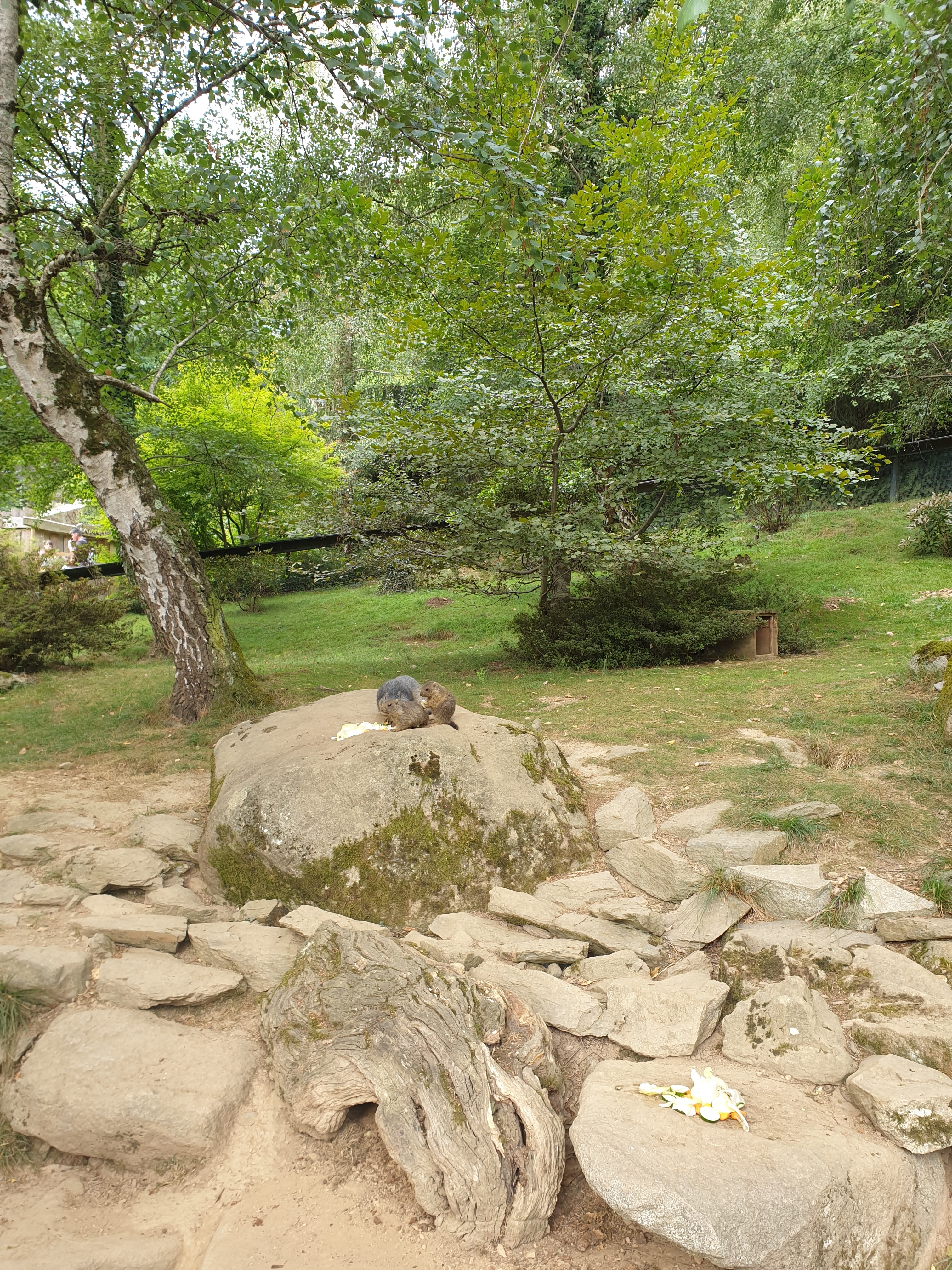 Photo n° 2 de l'avis de Master.U fait le 16/08/2022 à 16:25