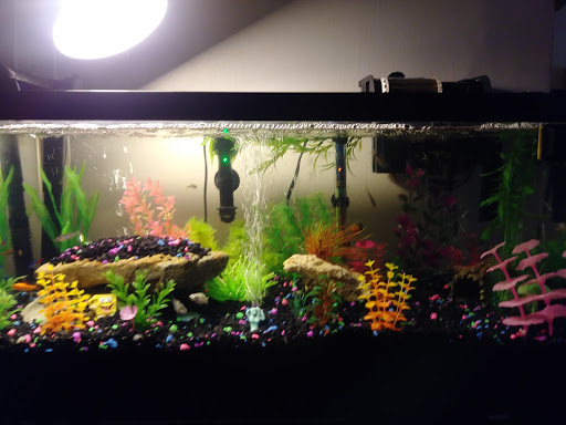 Pet Supply Store «PetSmart», reviews and photos, 2391 NJ-66, Ocean Township, NJ 07712, USA