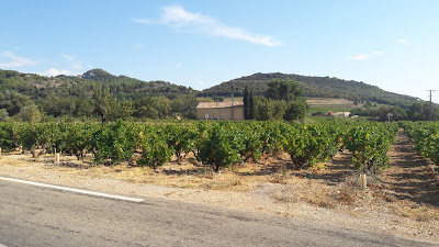 Domaine Palon à Gigondas
