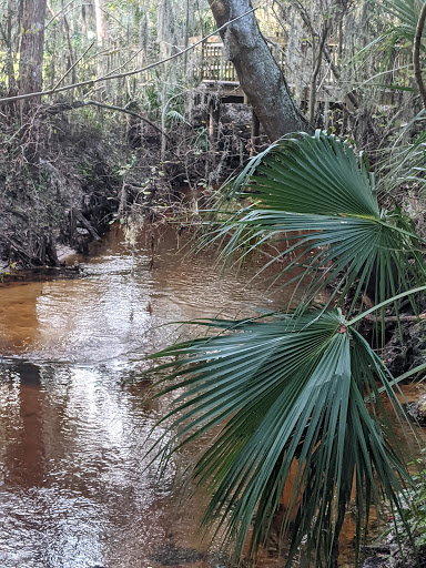 Park «Boyette Springs Park», reviews and photos, 10423-10425 Deepbrook Dr, Riverview, FL 33569, USA