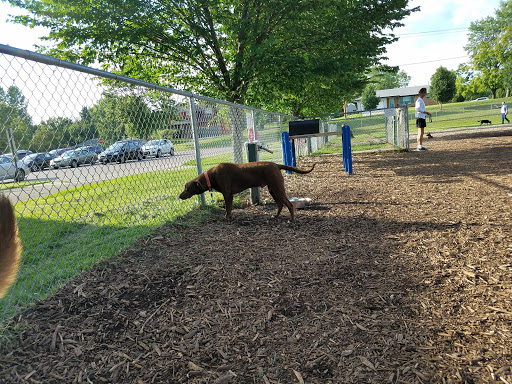 Dog Park «Bassett Creek Dog Park», reviews and photos, 32nd Ave N, Crystal, MN 55422, USA