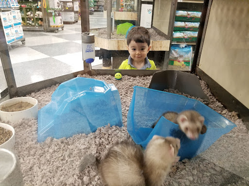 Pet Supply Store «Petco Animal Supplies», reviews and photos, 513 S Mason Rd, Katy, TX 77450, USA