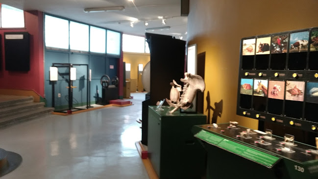 Museo de Ciencia Viva - Museo