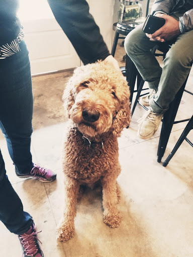 Grocery Store «The General Store at Serenbe», reviews and photos, 10642 Serenbe Ln, Palmetto, GA 30268, USA