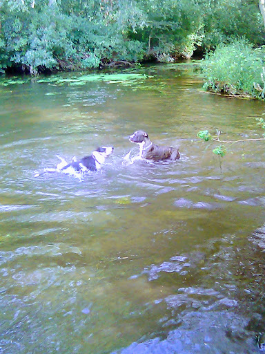 Park «Mansfield Park», reviews and photos, 85 Walker St, Massapequa Park, NY 11762, USA