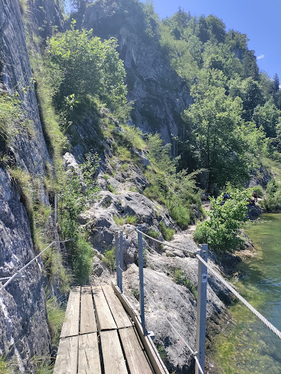 Miesweg - Alpiner Steig - Unterm Stein