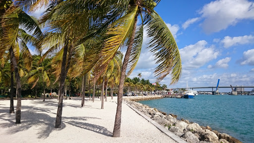 Performing Arts Theater «Bayfront Park Amphitheatre», reviews and photos, 301 Biscayne Blvd, Miami, FL 33132, USA