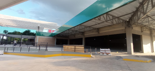 Grupo Orgânicos Tavares em Batatais