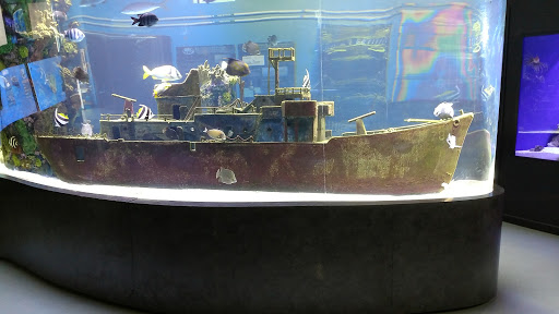 Tourist Attraction «IMAG History & Science Center (formerly Imaginarium Science Center)», reviews and photos, 2000 Cranford Ave, Fort Myers, FL 33916, USA