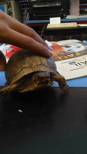 Pet Supply Store «C & C Pet Food For Less», reviews and photos, 16134 Nordhoff St, North Hills, CA 91343, USA