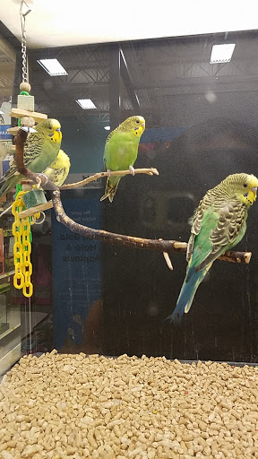 Pet Supply Store «PetSmart», reviews and photos, 625 W Crossville Rd, Roswell, GA 30075, USA