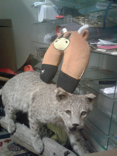 Used Appliance Store «Austin Appliance Rebuilders», reviews and photos, 11704 N Lamar Blvd, Austin, TX 78753, USA