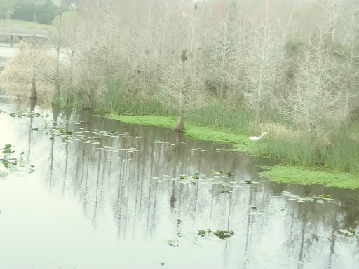 Park «Kapok Park», reviews and photos, 2950 Glen Oak Ave N, Clearwater, FL 33759, USA