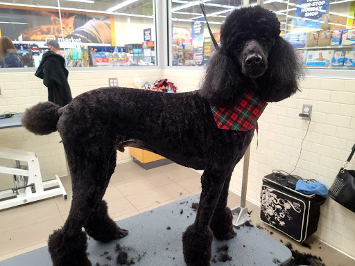 Pet Supply Store «Petco Animal Supplies», reviews and photos, 1930 SW Wanamaker Rd, Topeka, KS 66604, USA