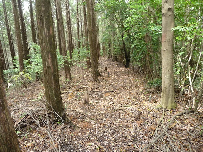 後山城跡