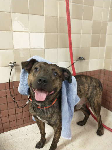 Pet Supply Store «Pet Food Express», reviews and photos, 2531 Fair Oaks Blvd, Sacramento, CA 95825, USA