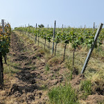 Photo n°8 de l'avis de JollyGreenGiant. fait le 30/05/2023 à 20:17 sur le  HGH - Hotel Garni Helbig à Neustadt