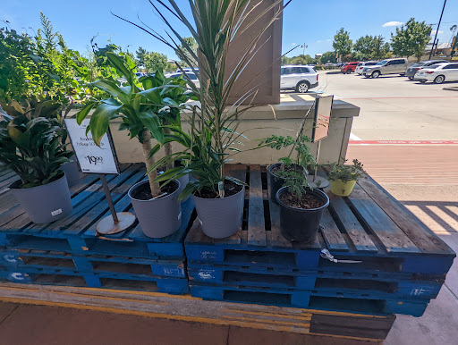 Grocery Store «Whole Foods Market», reviews and photos, 4041 Waller Creek, Highland Village, TX 75077, USA