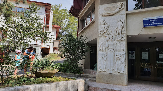 Muzeul de Istorie şi Arheologie Tulcea - <nil>