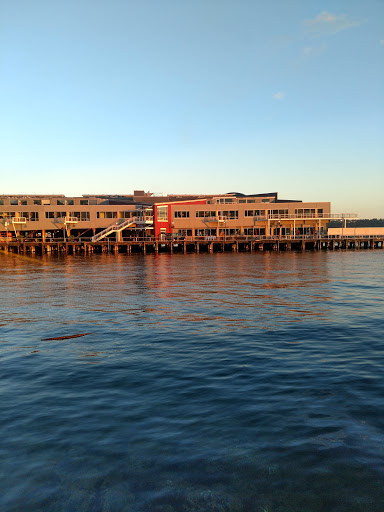 Park «Olympic Sculpture Park», reviews and photos, 2901 Western Ave, Seattle, WA 98121, USA