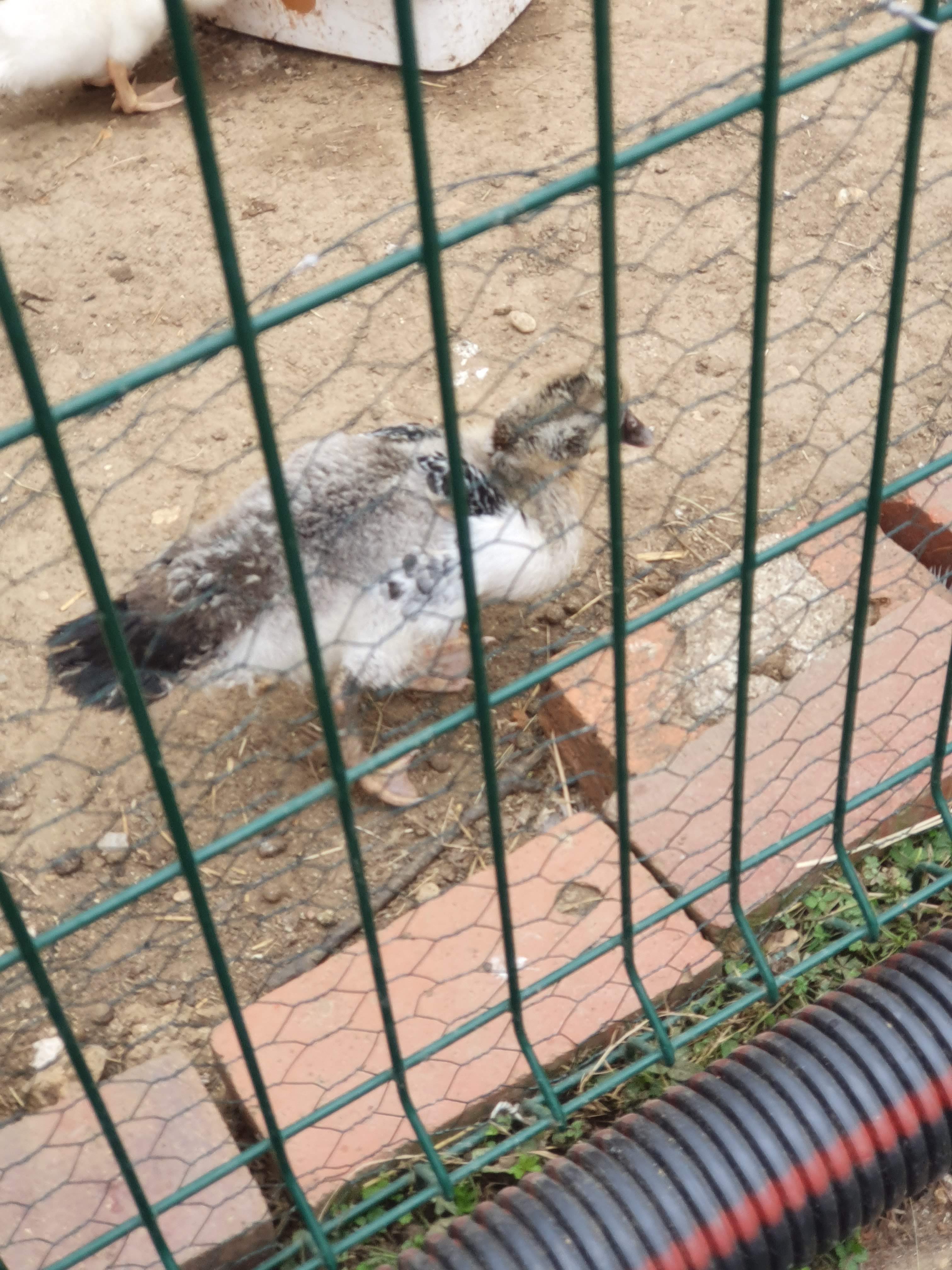 Photo n° 17 de l'avis de Liliane.o fait le 17/08/2019 à 10:37
