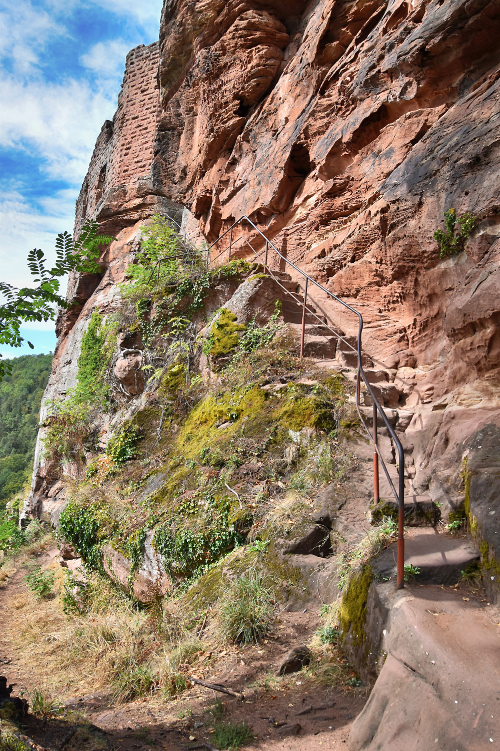 Photo n° 13 de l'avis de Juergen.r fait le 21/09/2022 à 07:11