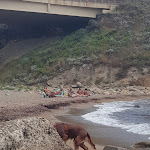 Photo n°4 de l'avis de Mario.o fait le 02/09/2018 à 14:23 sur le  Al Vecchio Mulino à Alghero