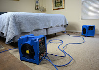 BedBugRental.com - Photo 1 - Car repair in Las Vegas, NV, Henderson