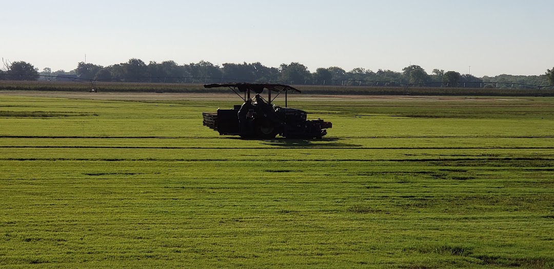 Canadian Valley Sod