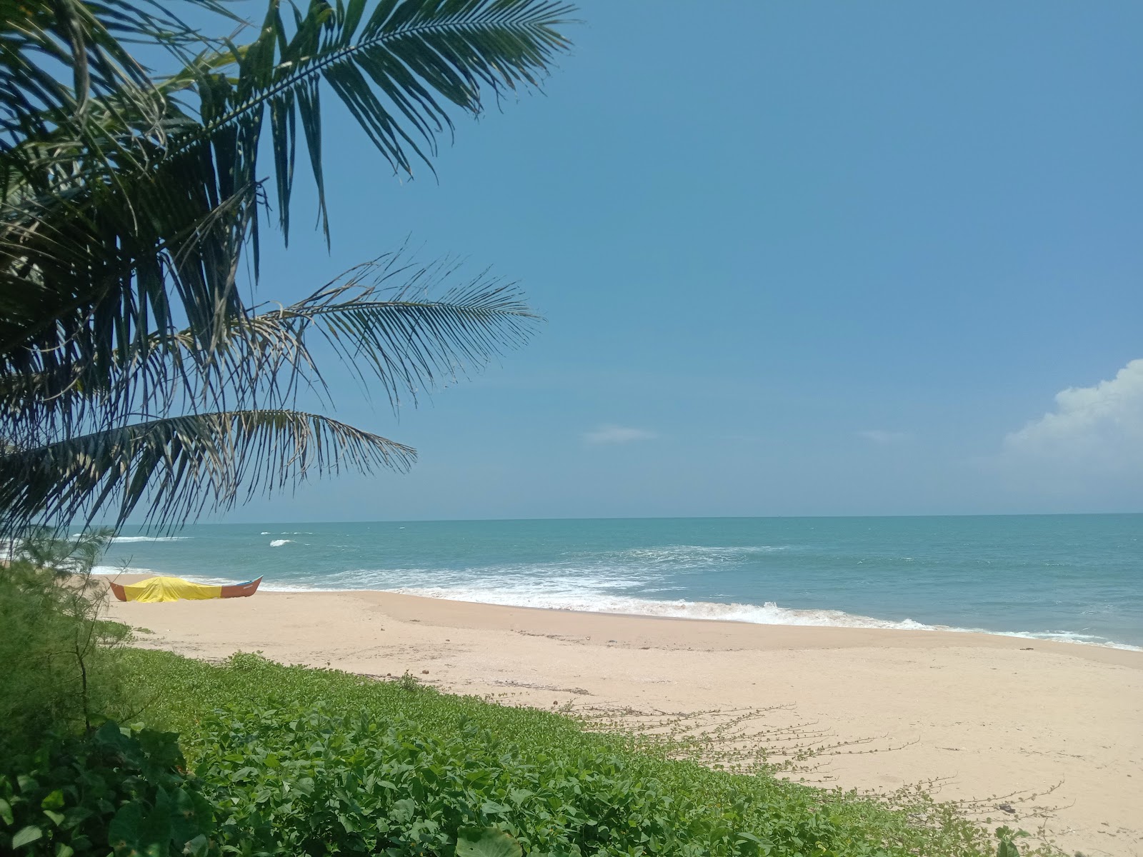 Fotografija Kodi Beach z dolga ravna obala