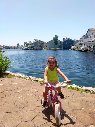 East Lake Village Community Association image