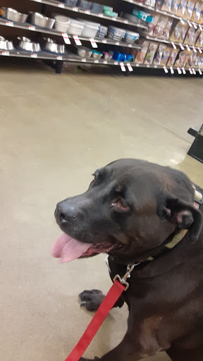 Pet Supply Store «Pet Supplies Plus», reviews and photos, 10 Glenridge Rd #3, Glenville, NY 12302, USA