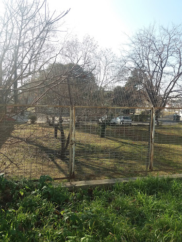 Ίδρυμα Κοινωνικής Πρόνοιας - Αλλος