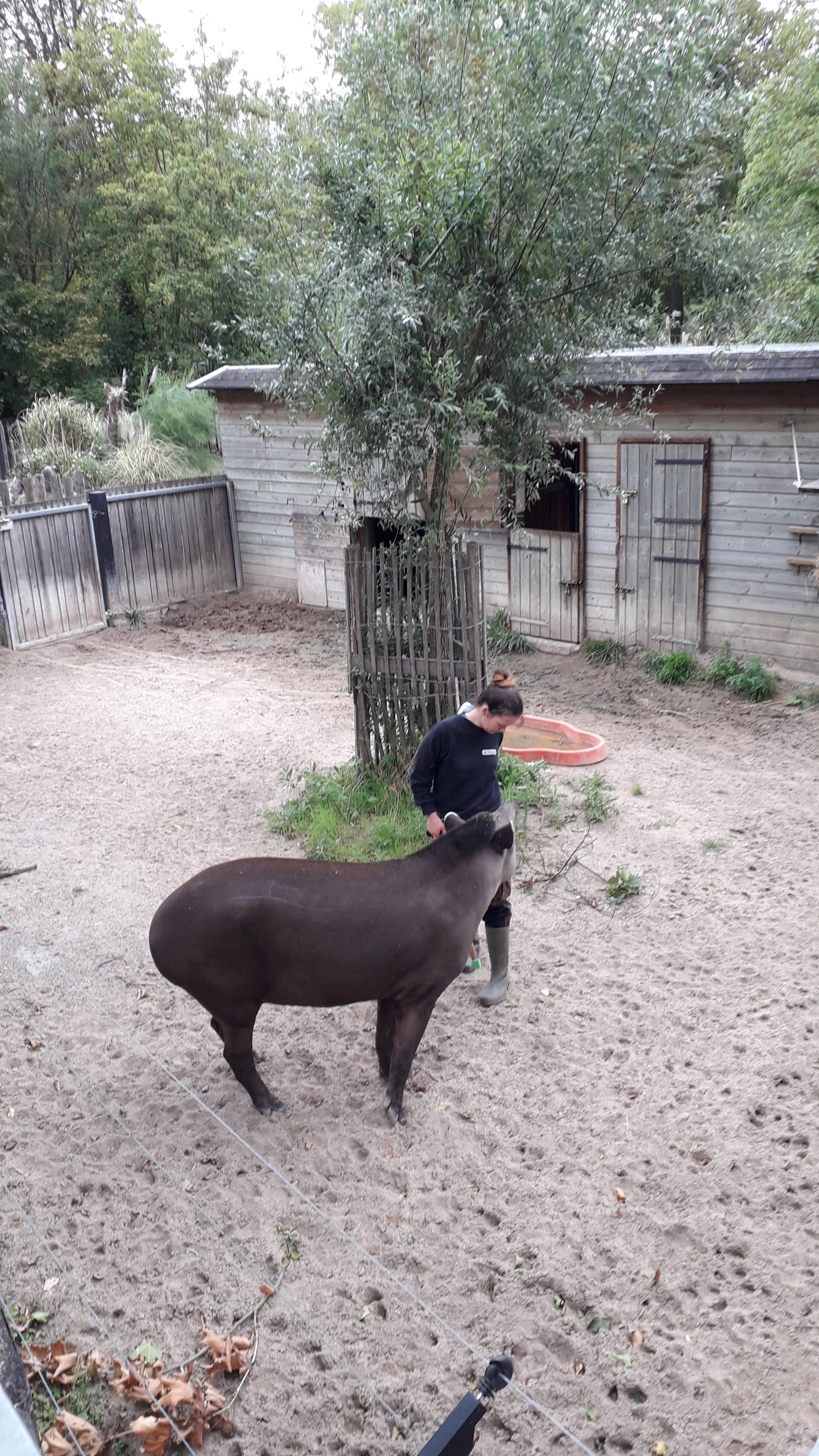 Photo n° 6 de l'avis de Catherine.C fait le 27/08/2020 à 11:42