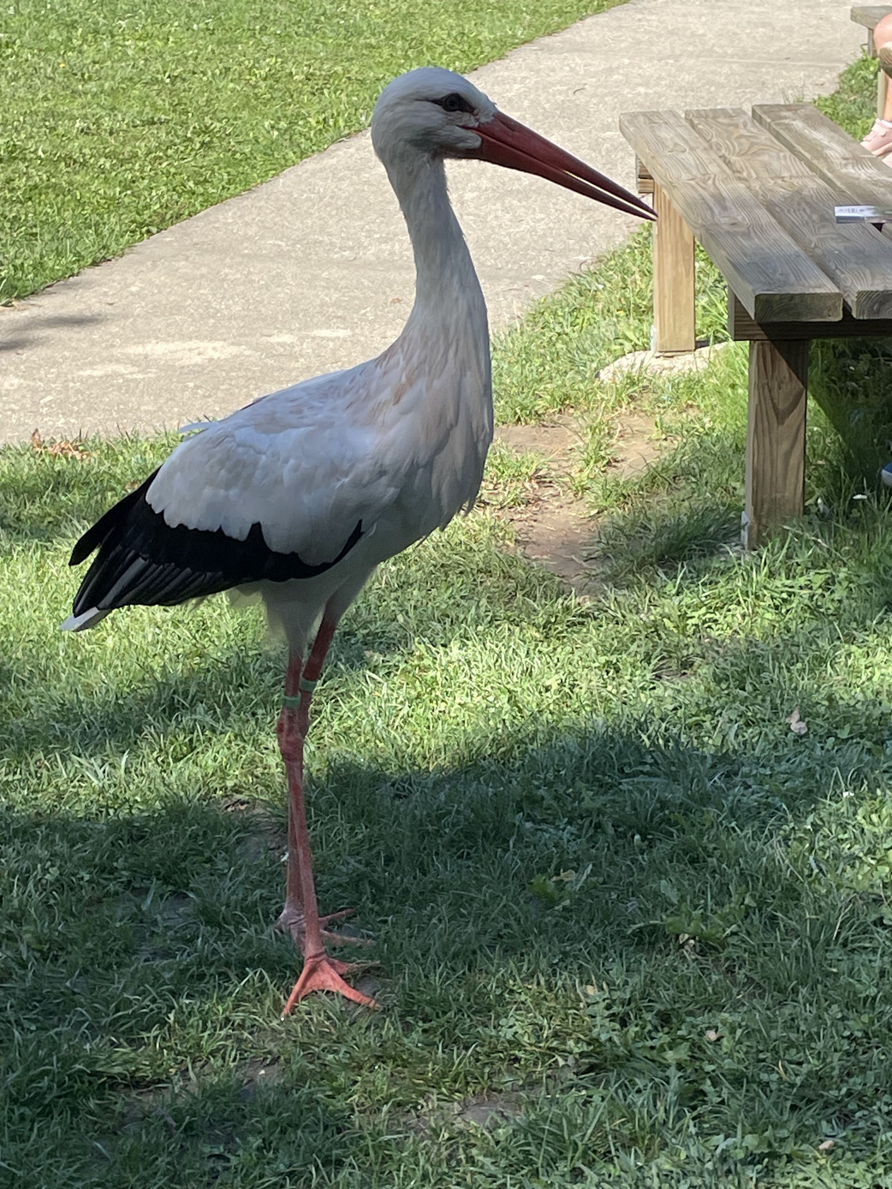 Photo n° 20 de l'avis de catherine.h fait le 22/08/2023 à 10:19