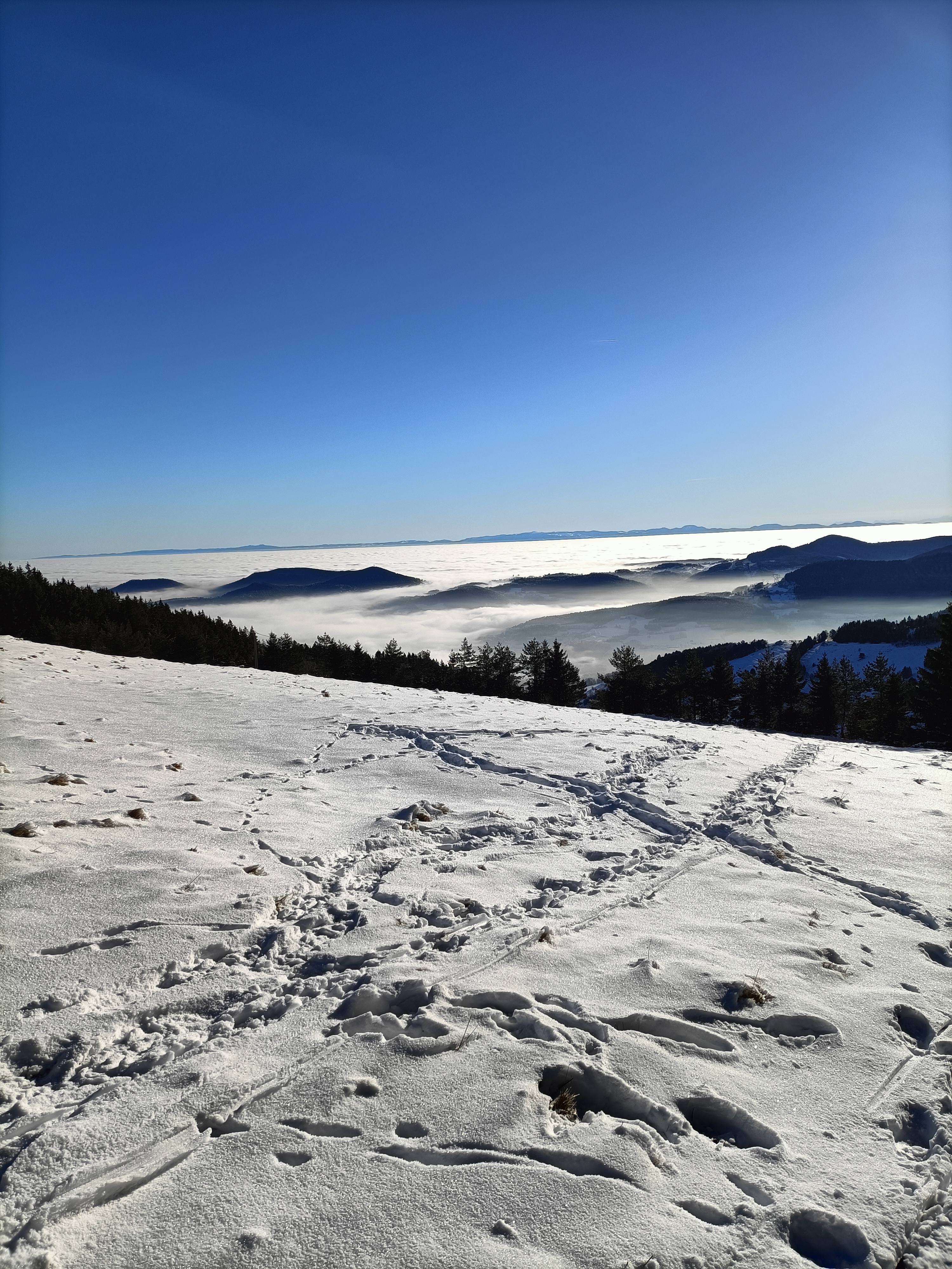 Photo n° 3 de l'avis de Agnès.e fait le 14/01/2024 à 16:21